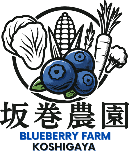 坂巻農園